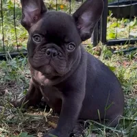 processed/085ae296-5b1a-4e66-922e-83372ce89df6/facility/264662ee-9bdf-4bf6-a44c-2257de1a458c