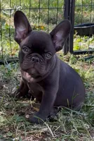 processed/085ae296-5b1a-4e66-922e-83372ce89df6/facility/264662ee-9bdf-4bf6-a44c-2257de1a458c