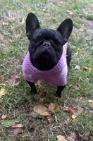 processed/085ae296-5b1a-4e66-922e-83372ce89df6/facility/ae5dd3a7-3bda-4578-9274-460bb541a8a2