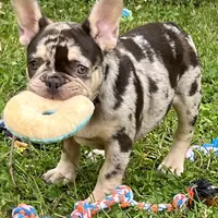 processed/085ae296-5b1a-4e66-922e-83372ce89df6/facility/c87bbf3c-5b98-4c87-af55-1a9afdbba918