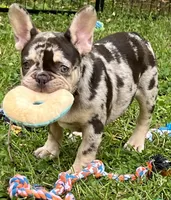 processed/085ae296-5b1a-4e66-922e-83372ce89df6/facility/c87bbf3c-5b98-4c87-af55-1a9afdbba918