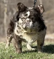 processed/085ae296-5b1a-4e66-922e-83372ce89df6/facility/cb49e02e-0c69-4c60-8bfc-73bf583c999a