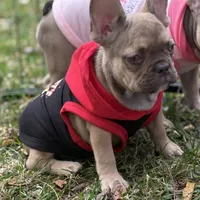 processed/085ae296-5b1a-4e66-922e-83372ce89df6/facility/d583e17f-9234-40f8-9e04-9b413686db3f