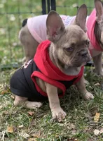 processed/085ae296-5b1a-4e66-922e-83372ce89df6/facility/d583e17f-9234-40f8-9e04-9b413686db3f