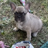 processed/085ae296-5b1a-4e66-922e-83372ce89df6/facility/d77ffb67-fe44-4c08-8881-a4980b4afbfb