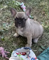 processed/085ae296-5b1a-4e66-922e-83372ce89df6/facility/d77ffb67-fe44-4c08-8881-a4980b4afbfb