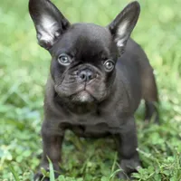 processed/085ae296-5b1a-4e66-922e-83372ce89df6/facility/e0d0161a-787d-4102-bc24-940897d4593d