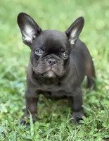 processed/085ae296-5b1a-4e66-922e-83372ce89df6/facility/e0d0161a-787d-4102-bc24-940897d4593d