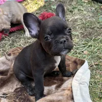 processed/085ae296-5b1a-4e66-922e-83372ce89df6/facility/eef059e1-a72c-4684-acae-020b35caff0e