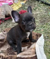 processed/085ae296-5b1a-4e66-922e-83372ce89df6/facility/eef059e1-a72c-4684-acae-020b35caff0e