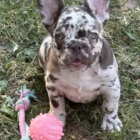 processed/085ae296-5b1a-4e66-922e-83372ce89df6/facility/ef714ccd-ca11-4922-9414-f35d1bccc223