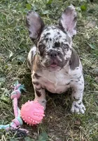 processed/085ae296-5b1a-4e66-922e-83372ce89df6/facility/ef714ccd-ca11-4922-9414-f35d1bccc223