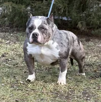 processed/085ae296-5b1a-4e66-922e-83372ce89df6/listing/63efa8a2-afac-4824-be09-5c9ed810007b/07845461-d2d4-4d65-ab28-db173c484f44