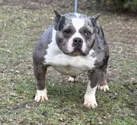 processed/085ae296-5b1a-4e66-922e-83372ce89df6/listing/63efa8a2-afac-4824-be09-5c9ed810007b/54197da7-d82c-482a-8ec5-43be1d5363d9