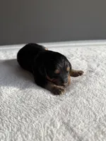 processed/08690d94-44d2-4a34-a842-d940ee4f17b0/listing/3b68f695-7c11-4291-a797-8971a57bc68e/1945397a-24bd-476a-8ba0-acda678e7d17