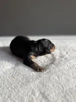 processed/08690d94-44d2-4a34-a842-d940ee4f17b0/listing/3b68f695-7c11-4291-a797-8971a57bc68e/6b806f09-8fc5-4462-b7fe-6de72037edf0