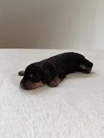 processed/08690d94-44d2-4a34-a842-d940ee4f17b0/listing/3b68f695-7c11-4291-a797-8971a57bc68e/8fb2e2d0-370a-4f58-b8aa-436270d607d0