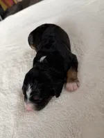 processed/08690d94-44d2-4a34-a842-d940ee4f17b0/listing/5ef91aaf-15fc-472f-928d-2610a7424fed/0b9f5df8-e902-4389-8a4f-c1eca444dd16