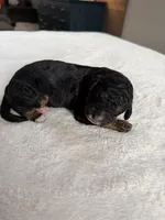 processed/08690d94-44d2-4a34-a842-d940ee4f17b0/listing/d1964ec2-1796-455f-9b0d-d85c9b4b2ce8/61fbc8f0-64cb-4030-88d4-d746e247ccea