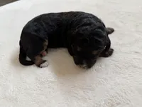 processed/08690d94-44d2-4a34-a842-d940ee4f17b0/listing/d1964ec2-1796-455f-9b0d-d85c9b4b2ce8/ff02bfa7-6ec9-4361-85f6-e8917806db0d