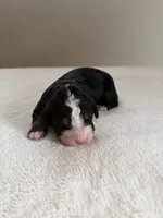 processed/08690d94-44d2-4a34-a842-d940ee4f17b0/listing/e7d4f019-f34d-4f8b-9c7c-fd7d7d6e795f/376216d7-ebe6-40e7-aab7-f2b579b56830