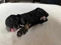 processed/08690d94-44d2-4a34-a842-d940ee4f17b0/listing/ecaa52d2-c5f8-48ac-86ae-be19fa0f3a27/520ac2df-86ca-4820-9cd5-ed186f5c0f92