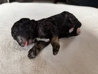 processed/08690d94-44d2-4a34-a842-d940ee4f17b0/listing/ecaa52d2-c5f8-48ac-86ae-be19fa0f3a27/e7711fa4-eaed-4c86-bbb9-f35a4e4fb5c1