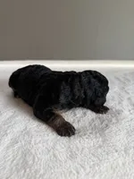 processed/08690d94-44d2-4a34-a842-d940ee4f17b0/listing/ee09b448-5d6f-4865-9465-469a5aebfdf0/2c195342-290f-43cf-b53b-ff61d1818819