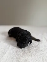 processed/08690d94-44d2-4a34-a842-d940ee4f17b0/listing/ee09b448-5d6f-4865-9465-469a5aebfdf0/5d5b8871-ce9d-49c5-b7a8-802b95260359