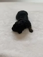 processed/08690d94-44d2-4a34-a842-d940ee4f17b0/listing/ee09b448-5d6f-4865-9465-469a5aebfdf0/963d8a13-3e0b-4fe1-9132-4cd12ed2c17c