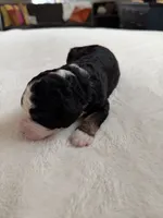 processed/08690d94-44d2-4a34-a842-d940ee4f17b0/listing/f2ce9bbf-6e37-4caf-9719-48c9377da5fe/5259254d-46ec-45d1-887b-31aff1d891ee