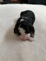 processed/08690d94-44d2-4a34-a842-d940ee4f17b0/listing/f2ce9bbf-6e37-4caf-9719-48c9377da5fe/55a6b118-1edb-4e2e-8bb9-dfc0e0c8165a