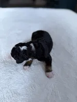 processed/08690d94-44d2-4a34-a842-d940ee4f17b0/listing/f2ce9bbf-6e37-4caf-9719-48c9377da5fe/c5389c70-42fb-4cce-814b-541af69743d8