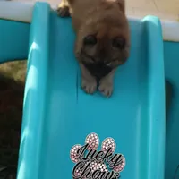 processed/086fd1f2-622f-4583-8937-8e33e06cd83d/facility/25512b8c-6891-4fc3-8776-f5d4308e492d