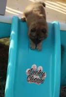 processed/086fd1f2-622f-4583-8937-8e33e06cd83d/facility/25512b8c-6891-4fc3-8776-f5d4308e492d