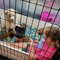 processed/086fd1f2-622f-4583-8937-8e33e06cd83d/facility/2d7e7644-dce9-4314-ab76-ea311f6f0b6c