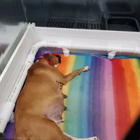 processed/086fd1f2-622f-4583-8937-8e33e06cd83d/facility/31dc14f3-7150-441b-9596-8536fae8c1e6