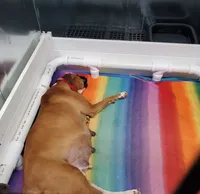 processed/086fd1f2-622f-4583-8937-8e33e06cd83d/facility/31dc14f3-7150-441b-9596-8536fae8c1e6