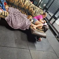 processed/086fd1f2-622f-4583-8937-8e33e06cd83d/facility/550f1fc7-6567-4e9b-be54-a6d8e522aa82