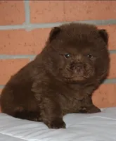 processed/086fd1f2-622f-4583-8937-8e33e06cd83d/listing/033c74ba-f664-46f8-99fd-de33082d7837/99038fdb-1c11-43d4-aa35-a2b6cd2a655b