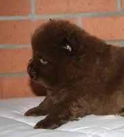 processed/086fd1f2-622f-4583-8937-8e33e06cd83d/listing/033c74ba-f664-46f8-99fd-de33082d7837/9f36b39d-9b20-4c68-b41d-700e4e7180dc