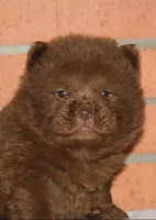 processed/086fd1f2-622f-4583-8937-8e33e06cd83d/listing/033c74ba-f664-46f8-99fd-de33082d7837/bb077ff5-2db8-4f50-a2bc-20b73dd07b68