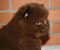 processed/086fd1f2-622f-4583-8937-8e33e06cd83d/listing/033c74ba-f664-46f8-99fd-de33082d7837/cae38044-50cc-467e-ac75-165c39fec18b