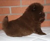 processed/086fd1f2-622f-4583-8937-8e33e06cd83d/listing/033c74ba-f664-46f8-99fd-de33082d7837/d2389a43-52ce-40ba-ae26-be696a505f98