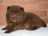 processed/086fd1f2-622f-4583-8937-8e33e06cd83d/listing/033c74ba-f664-46f8-99fd-de33082d7837/f6247675-dcf3-4715-8d88-a3565e09295b