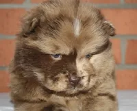 processed/086fd1f2-622f-4583-8937-8e33e06cd83d/listing/1f49580d-99ab-4a26-a31c-78221dda5a4e/4f89c4a1-cf11-407d-bcae-17c883021b74