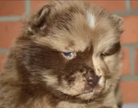 processed/086fd1f2-622f-4583-8937-8e33e06cd83d/listing/1f49580d-99ab-4a26-a31c-78221dda5a4e/7c657c68-d45b-4844-9e49-9f07544e3e28