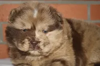 processed/086fd1f2-622f-4583-8937-8e33e06cd83d/listing/1f49580d-99ab-4a26-a31c-78221dda5a4e/7fb27673-ca4c-4046-a8a3-24a6982a7805