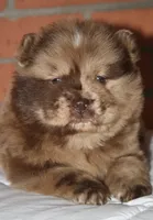 processed/086fd1f2-622f-4583-8937-8e33e06cd83d/listing/1f49580d-99ab-4a26-a31c-78221dda5a4e/d3dddffb-be56-4d19-abfa-ad362d4d05a9