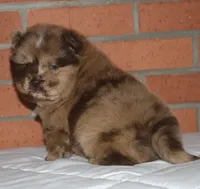 processed/086fd1f2-622f-4583-8937-8e33e06cd83d/listing/1f49580d-99ab-4a26-a31c-78221dda5a4e/de26af31-6315-4a68-a43d-15a2166d6681